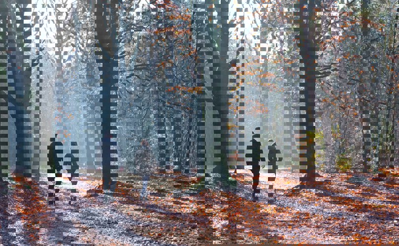 Wandelcoaching